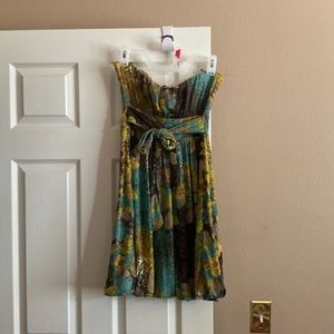 Strapless Multi Color Dress